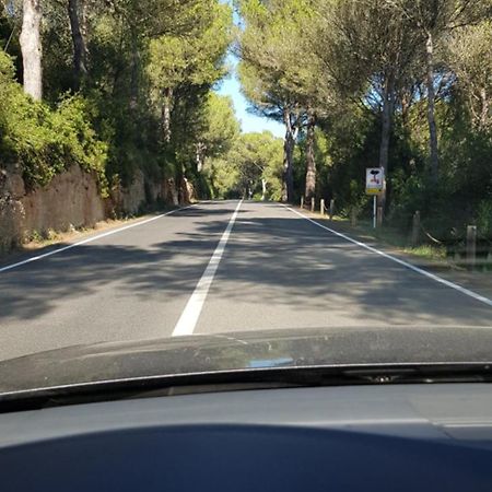 Los Vientos Son Parc Exterior foto